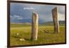 Deer stones with inscriptions, 1000 BC, Mongolia.-Tom Norring-Framed Photographic Print