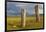 Deer stones with inscriptions, 1000 BC, Mongolia.-Tom Norring-Framed Photographic Print