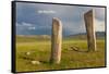 Deer stones with inscriptions, 1000 BC, Mongolia.-Tom Norring-Framed Stretched Canvas