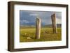 Deer stones with inscriptions, 1000 BC, Mongolia.-Tom Norring-Framed Photographic Print