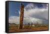 Deer stones with inscriptions, 1000 BC, Mongolia.-Tom Norring-Framed Stretched Canvas