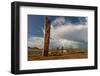 Deer stones with inscriptions, 1000 BC, Mongolia.-Tom Norring-Framed Photographic Print