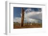 Deer stones with inscriptions, 1000 BC, Mongolia.-Tom Norring-Framed Photographic Print