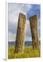 Deer stones with inscriptions, 1000 BC, Mongolia.-Tom Norring-Framed Photographic Print