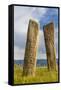 Deer stones with inscriptions, 1000 BC, Mongolia.-Tom Norring-Framed Stretched Canvas