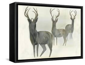 Deer Trio-Beverly Dyer-Framed Stretched Canvas