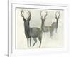 Deer Trio-Beverly Dyer-Framed Art Print