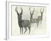 Deer Trio-Beverly Dyer-Framed Art Print