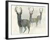 Deer Trio-Beverly Dyer-Framed Art Print