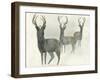 Deer Trio-Beverly Dyer-Framed Art Print