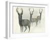 Deer Trio-Beverly Dyer-Framed Art Print