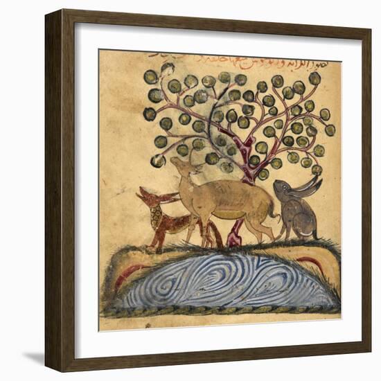 Deer-type, Rabbit and Fox, Standing Over Water-Aristotle ibn Bakhtishu-Framed Giclee Print