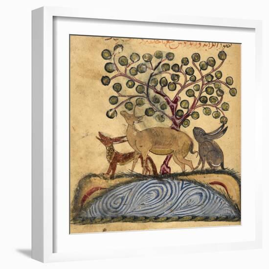 Deer-type, Rabbit and Fox, Standing Over Water-Aristotle ibn Bakhtishu-Framed Giclee Print