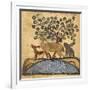 Deer-type, Rabbit and Fox, Standing Over Water-Aristotle ibn Bakhtishu-Framed Giclee Print