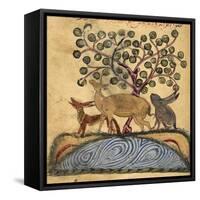 Deer-type, Rabbit and Fox, Standing Over Water-Aristotle ibn Bakhtishu-Framed Stretched Canvas