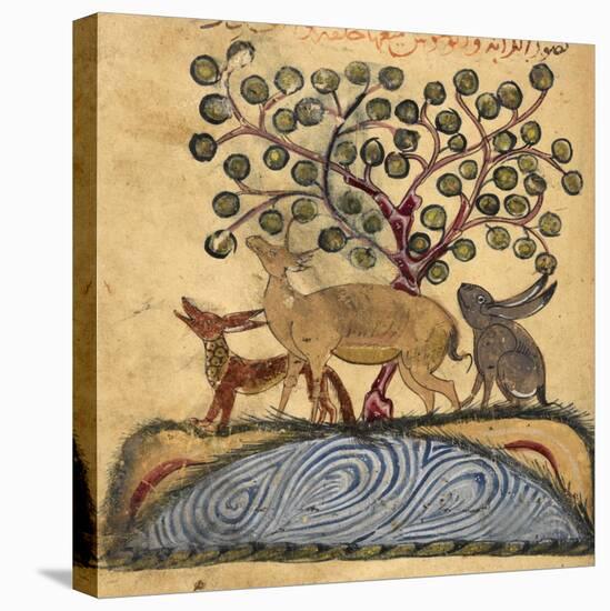Deer-type, Rabbit and Fox, Standing Over Water-Aristotle ibn Bakhtishu-Stretched Canvas