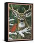 Deer with Cardinal-William Vanderdasson-Framed Stretched Canvas