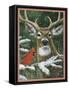 Deer with Cardinal-William Vanderdasson-Framed Stretched Canvas