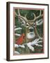 Deer with Cardinal-William Vanderdasson-Framed Giclee Print