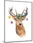 Deer with Holly and Ornaments-Lanie Loreth-Mounted Art Print