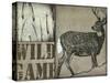 Deer with white tail-null-Stretched Canvas