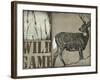 Deer with white tail-null-Framed Giclee Print