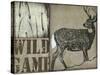 Deer with white tail-null-Stretched Canvas