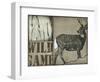 Deer with white tail-null-Framed Giclee Print