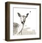 Deer-Philippe Debongnie-Framed Art Print