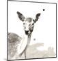 Deer-Philippe Debongnie-Mounted Art Print