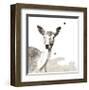 Deer-Philippe Debongnie-Framed Giclee Print