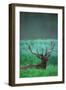 Deer-null-Framed Premium Photographic Print
