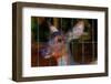 Deer-Andr? Burian-Framed Photographic Print