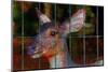 Deer-Andr? Burian-Mounted Photographic Print