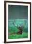 Deer-null-Framed Photographic Print