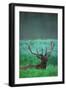 Deer-null-Framed Photographic Print