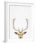 Deer-Tai Prints-Framed Photographic Print