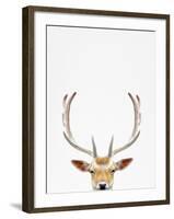 Deer-Tai Prints-Framed Photographic Print