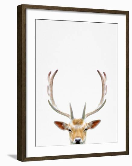 Deer-Tai Prints-Framed Photographic Print