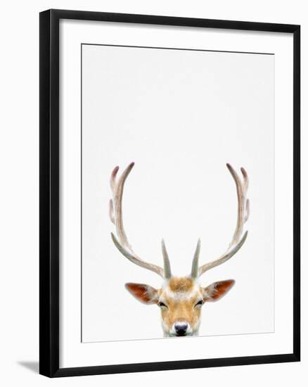 Deer-Tai Prints-Framed Photographic Print