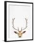 Deer-Tai Prints-Framed Photographic Print