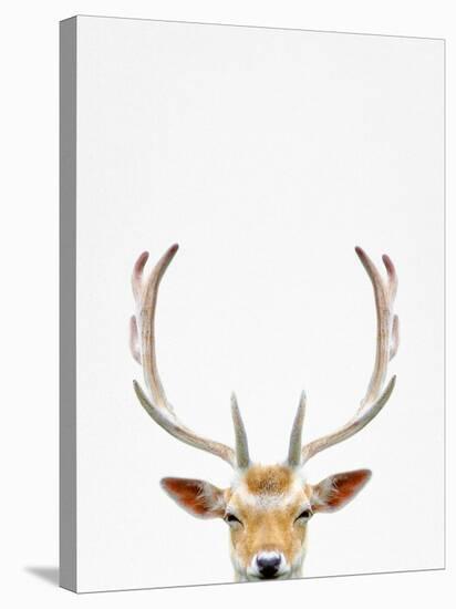 Deer-Tai Prints-Stretched Canvas