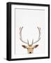 Deer-Tai Prints-Framed Photographic Print
