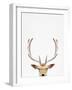 Deer-Tai Prints-Framed Photographic Print