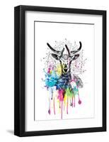 Deer-Karin Roberts-Framed Art Print
