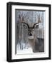 Deer-Rusty Frentner-Framed Giclee Print