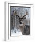 Deer-Rusty Frentner-Framed Giclee Print