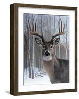 Deer-Rusty Frentner-Framed Giclee Print