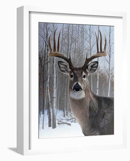 Deer-Rusty Frentner-Framed Giclee Print