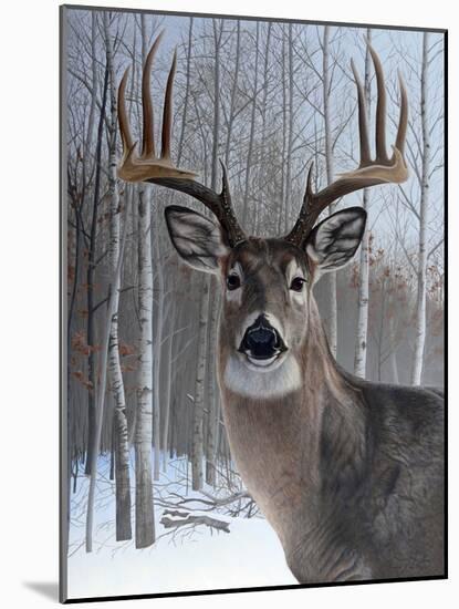 Deer-Rusty Frentner-Mounted Giclee Print